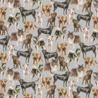 ttMICHAEL-CD4467 GREY